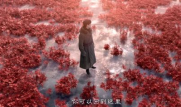 藏海花,探寻神秘古墓，揭开千年谜团
