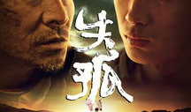 电影免费观看,探索影视世界的无限魅力