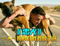 狗狗电影,狗狗电影的温馨篇章