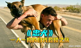 狗狗电影,狗狗电影的温馨篇章