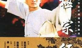 太极宗师电影,传承与创新，武术巅峰对决