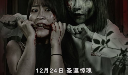 电影剧情介绍,一段跨越时空的奇幻之旅