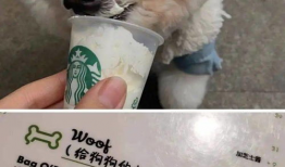 色狗电影院,揭秘电影世界的激情与狂热