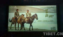 西藏电影,西藏电影的艺术魅力与民族风情